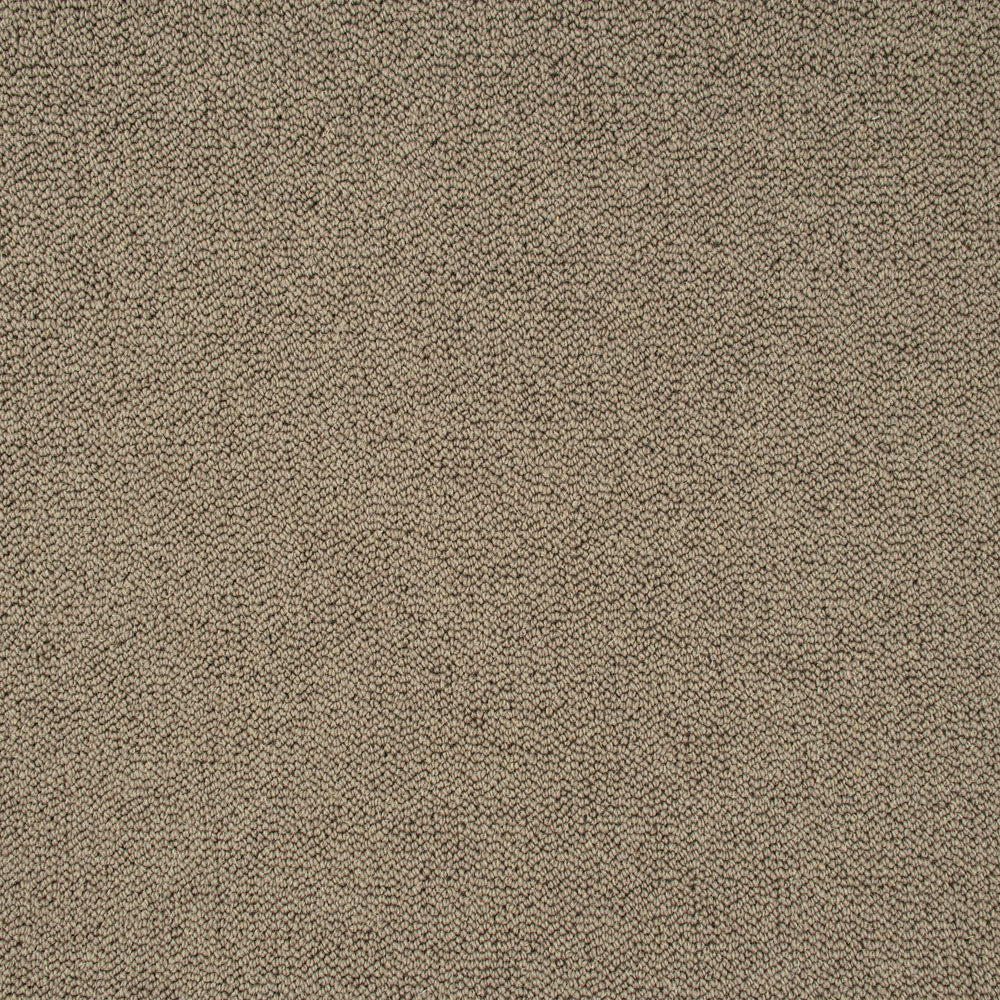 Earth Brown Illinois Loop Carpet - Image 4