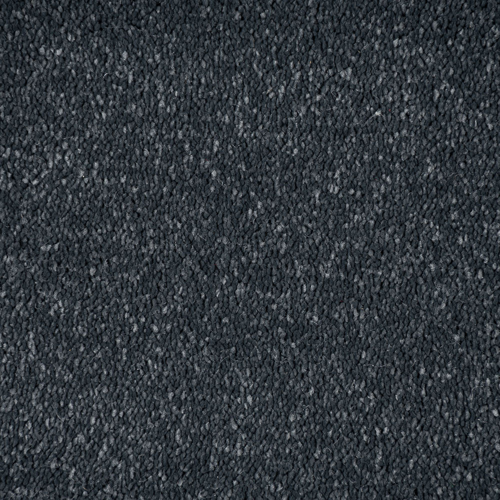 Ebony Stainfree Caress Carpet by Abingdon - Image 3
