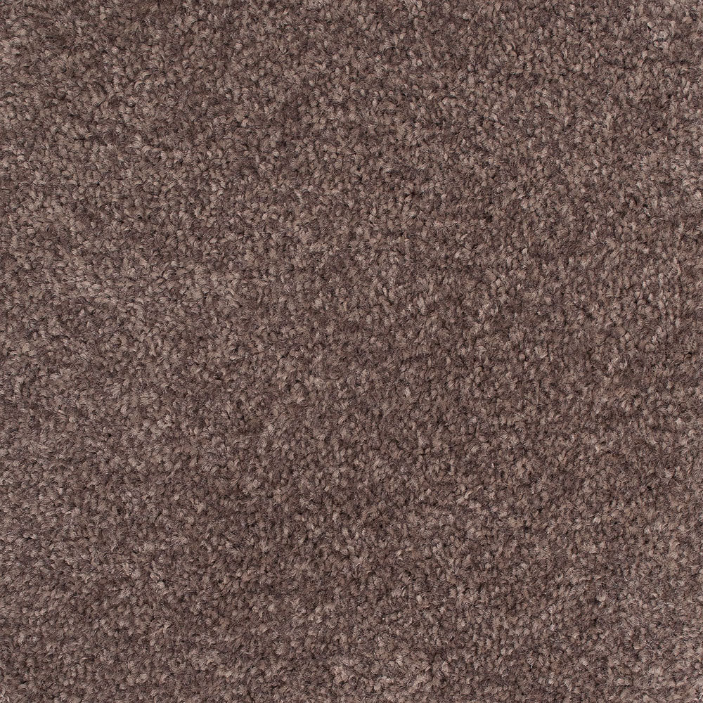 Everest Twist Carpet - Image 13