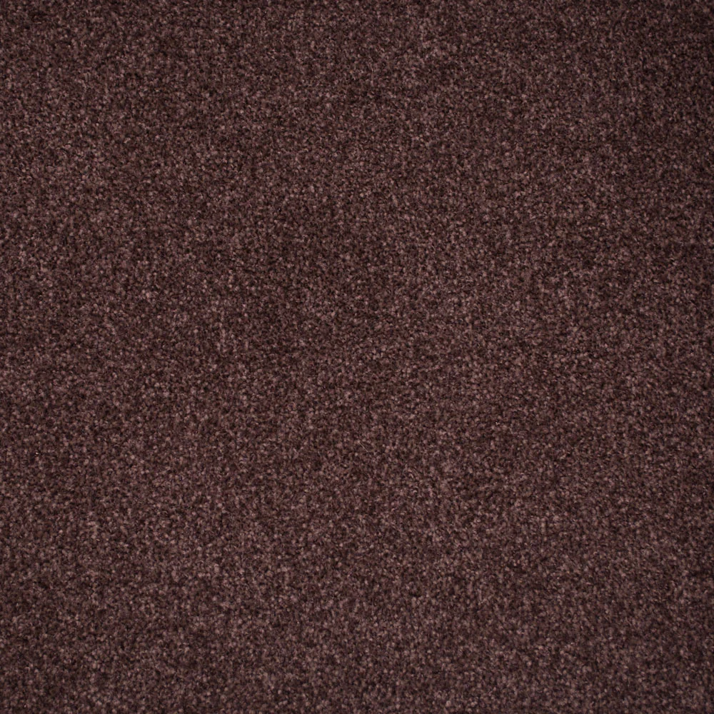 Everest Twist Carpet - Image 14