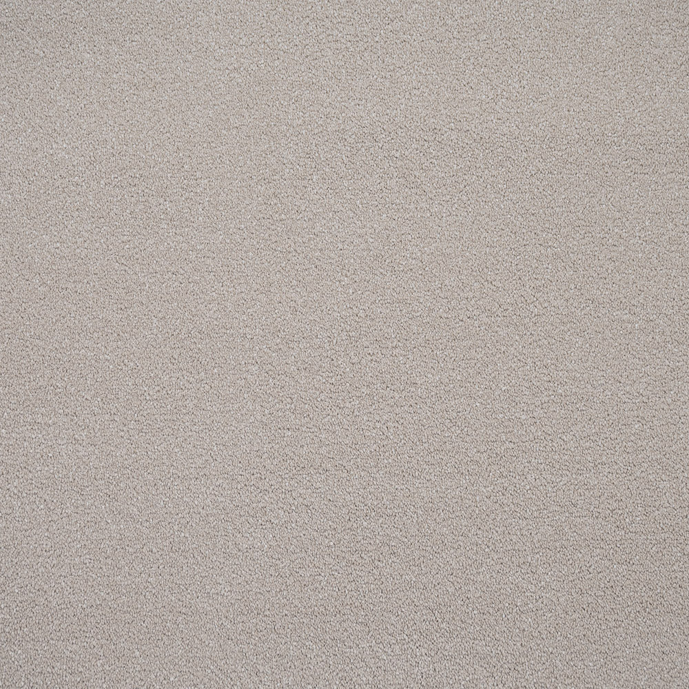 Regal Saxony Carpet - Image 4