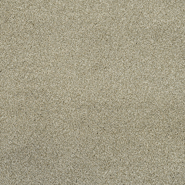 Fern 20 Cassius 70oz Invictus Carpet - Image 2