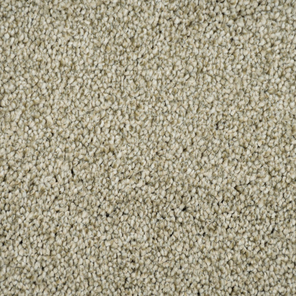 Fern 20 Cassius 70oz Invictus Carpet - Image 3
