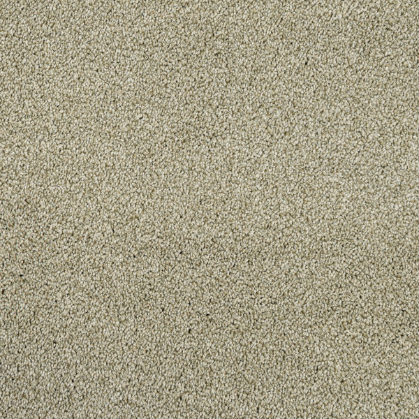 Fern 20 Cassius 70oz Invictus Carpet - Image 4