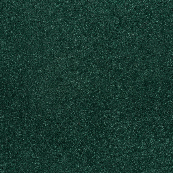 Fir Green Stainfree Caress Carpet by Abingdon - Image 2