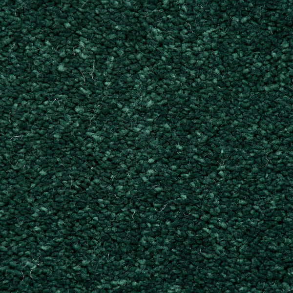 Fir Green Stainfree Caress Carpet by Abingdon - Image 3