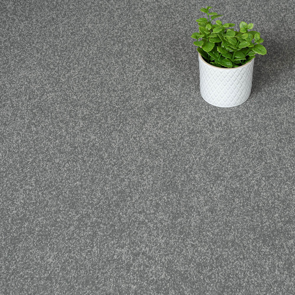 Fog 96 Taurus Invictus Carpet - Image 2