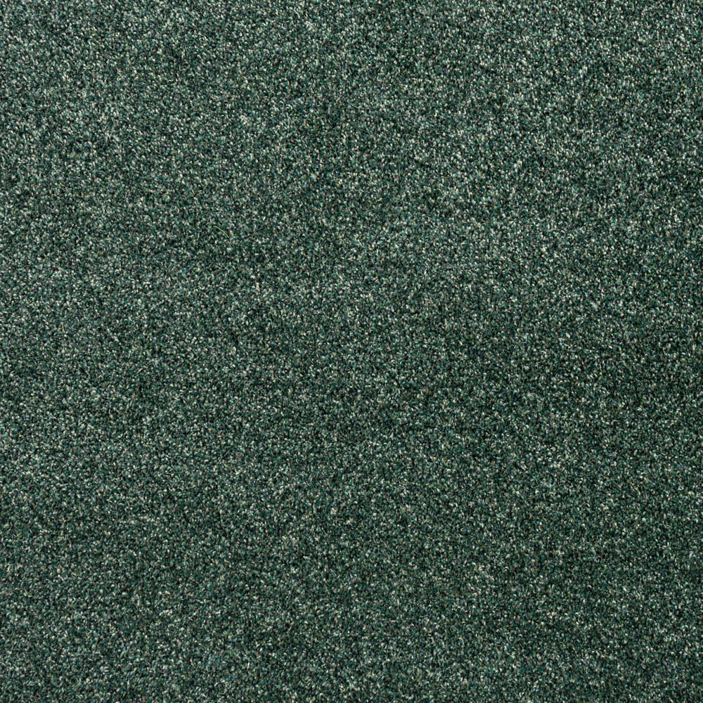 Forest Green Louisiana Saxony Carpet - Image 2