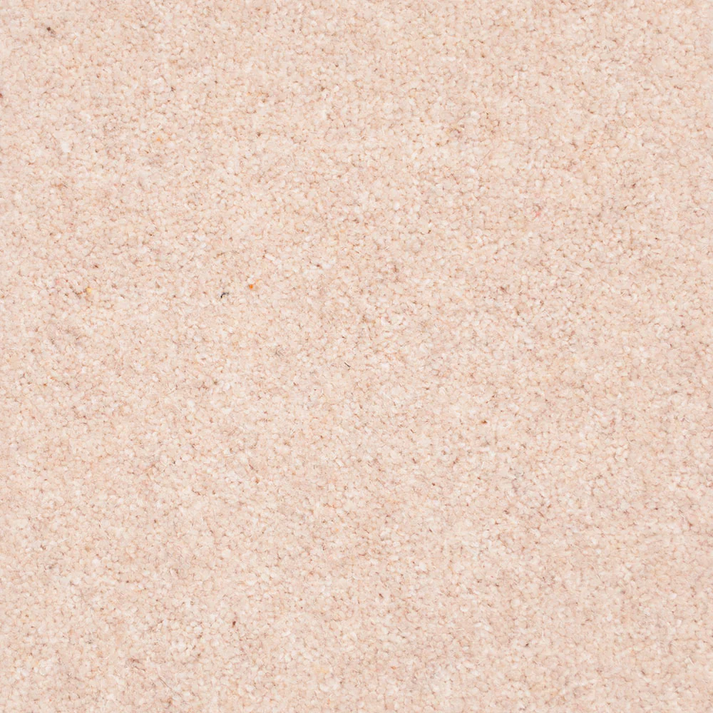 Forest Hills Super Carpet by Cormar - Image 10