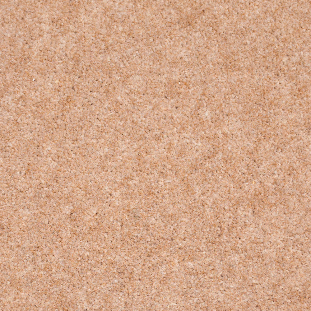 Forest Hills Super Carpet by Cormar - Image 11