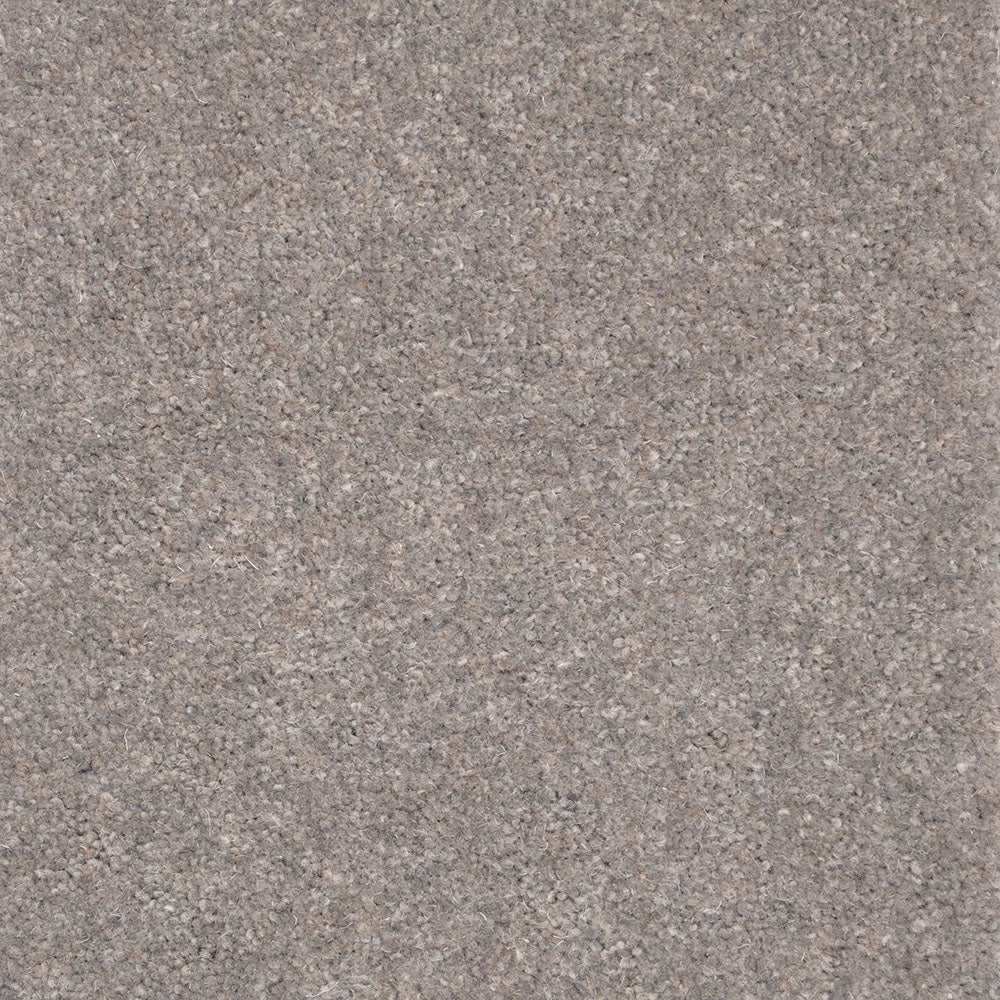 Forest Hills Super Carpet by Cormar - Image 12