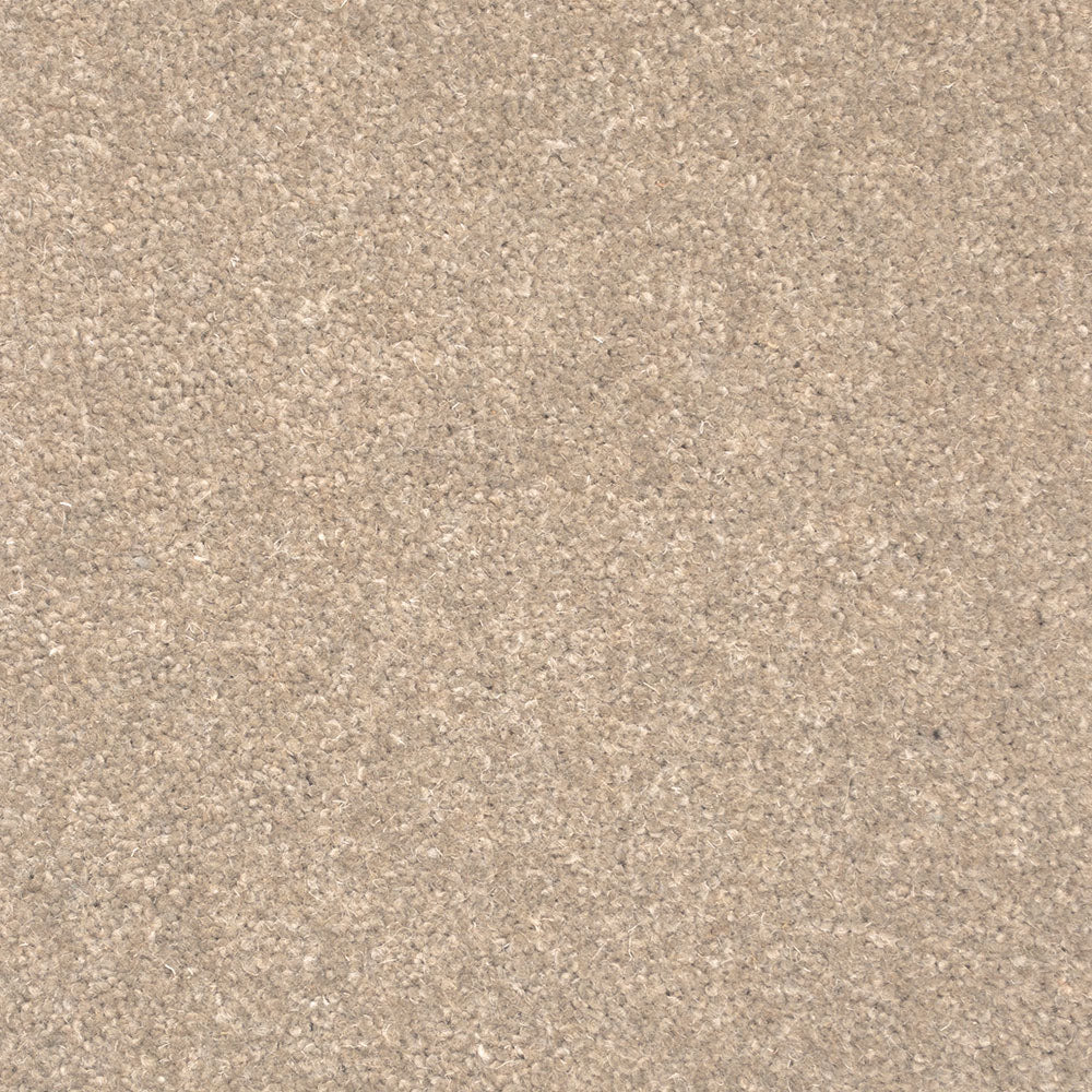 Forest Hills Super Carpet by Cormar - Image 13