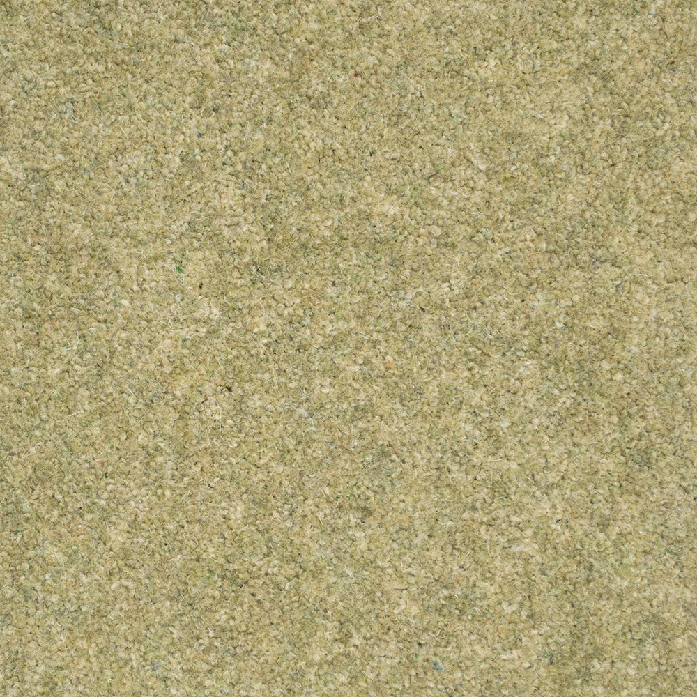 Forest Hills Super Carpet by Cormar - Image 14