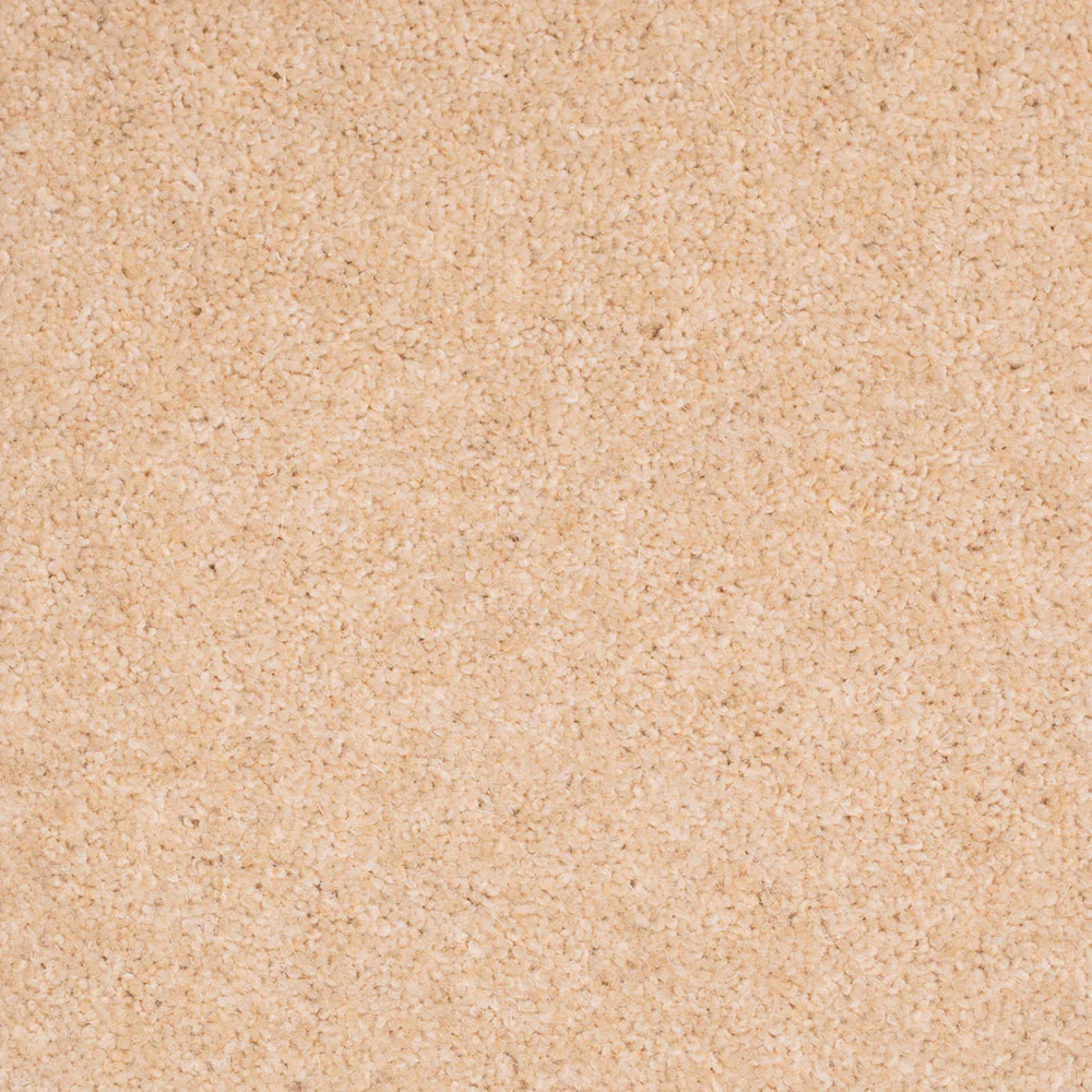 Forest Hills Super Carpet by Cormar - Image 15