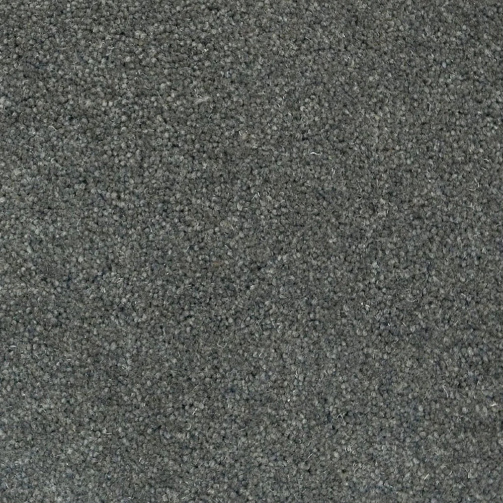 Forest Hills Super Carpet by Cormar - Image 16