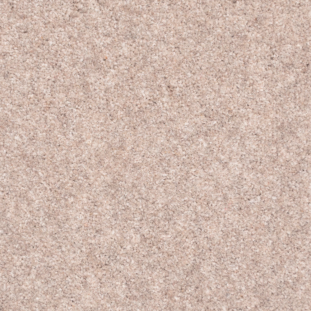 Forest Hills Super Carpet by Cormar - Image 3