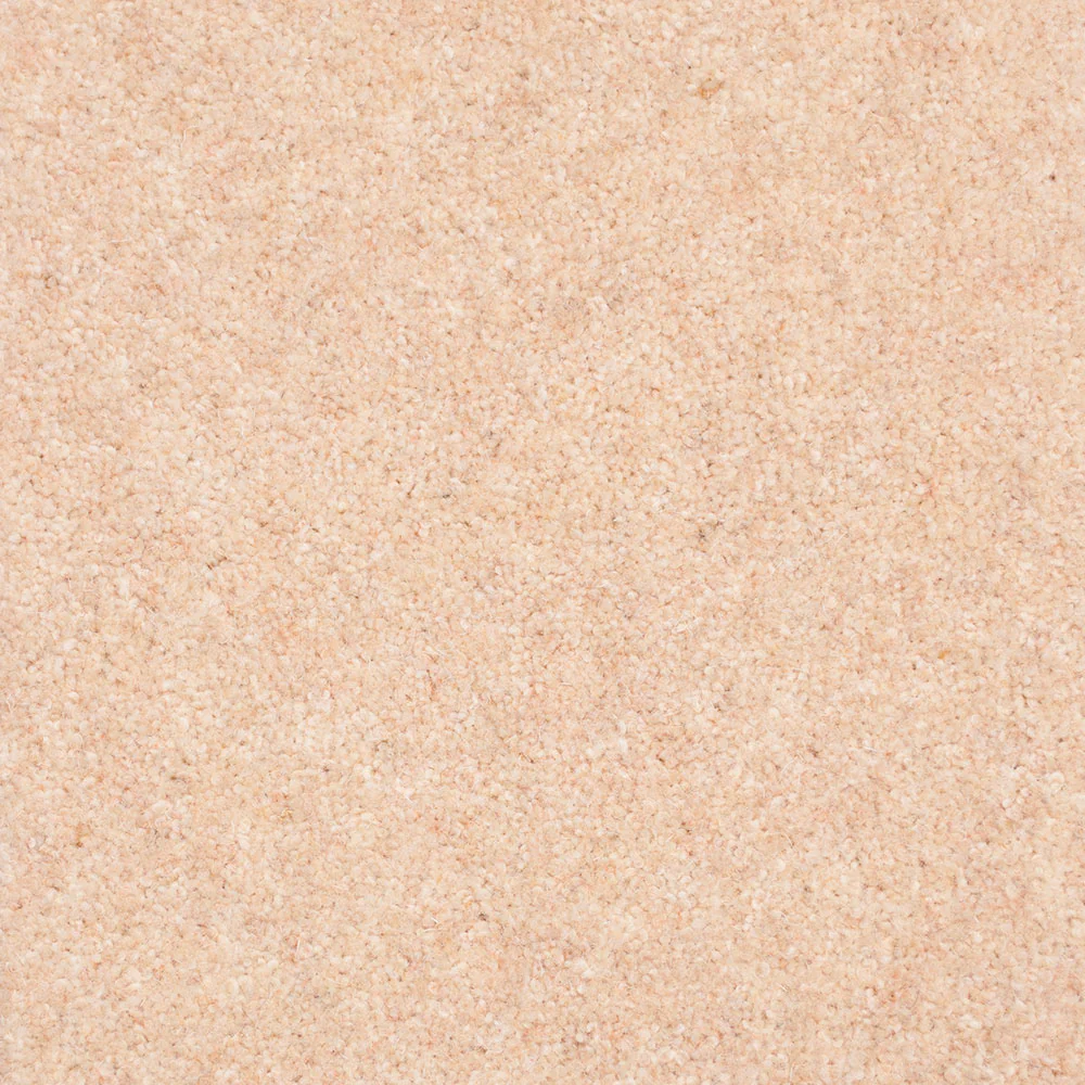 Forest Hills Super Carpet by Cormar - Image 4