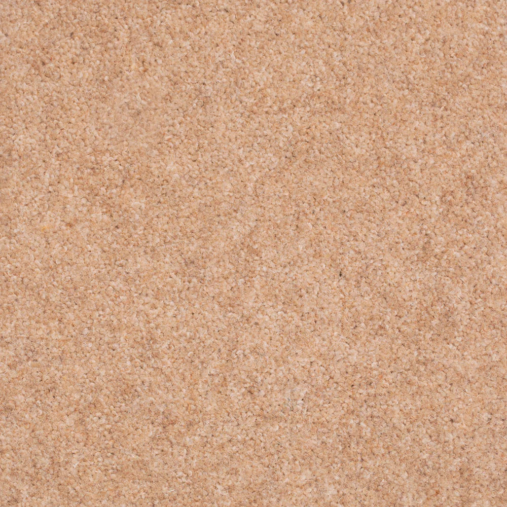 Forest Hills Super Carpet by Cormar - Image 5