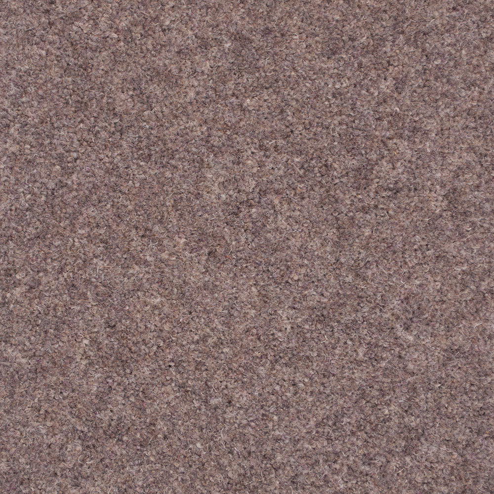 Forest Hills Super Carpet by Cormar - Image 6