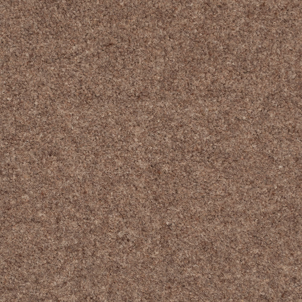 Forest Hills Super Carpet by Cormar - Image 7
