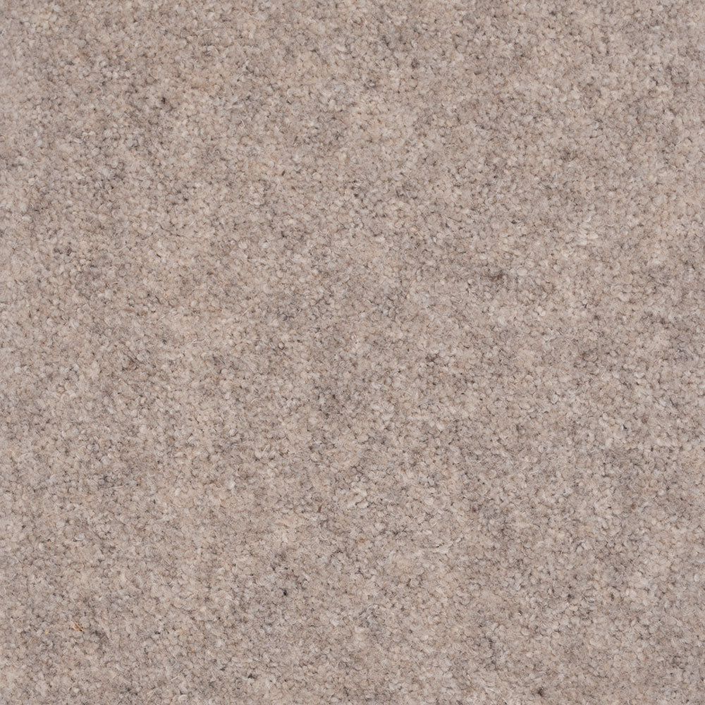 Forest Hills Super Carpet by Cormar - Image 8