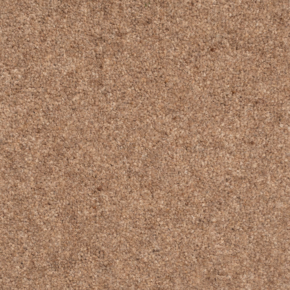 Forest Hills Super Carpet by Cormar - Image 9