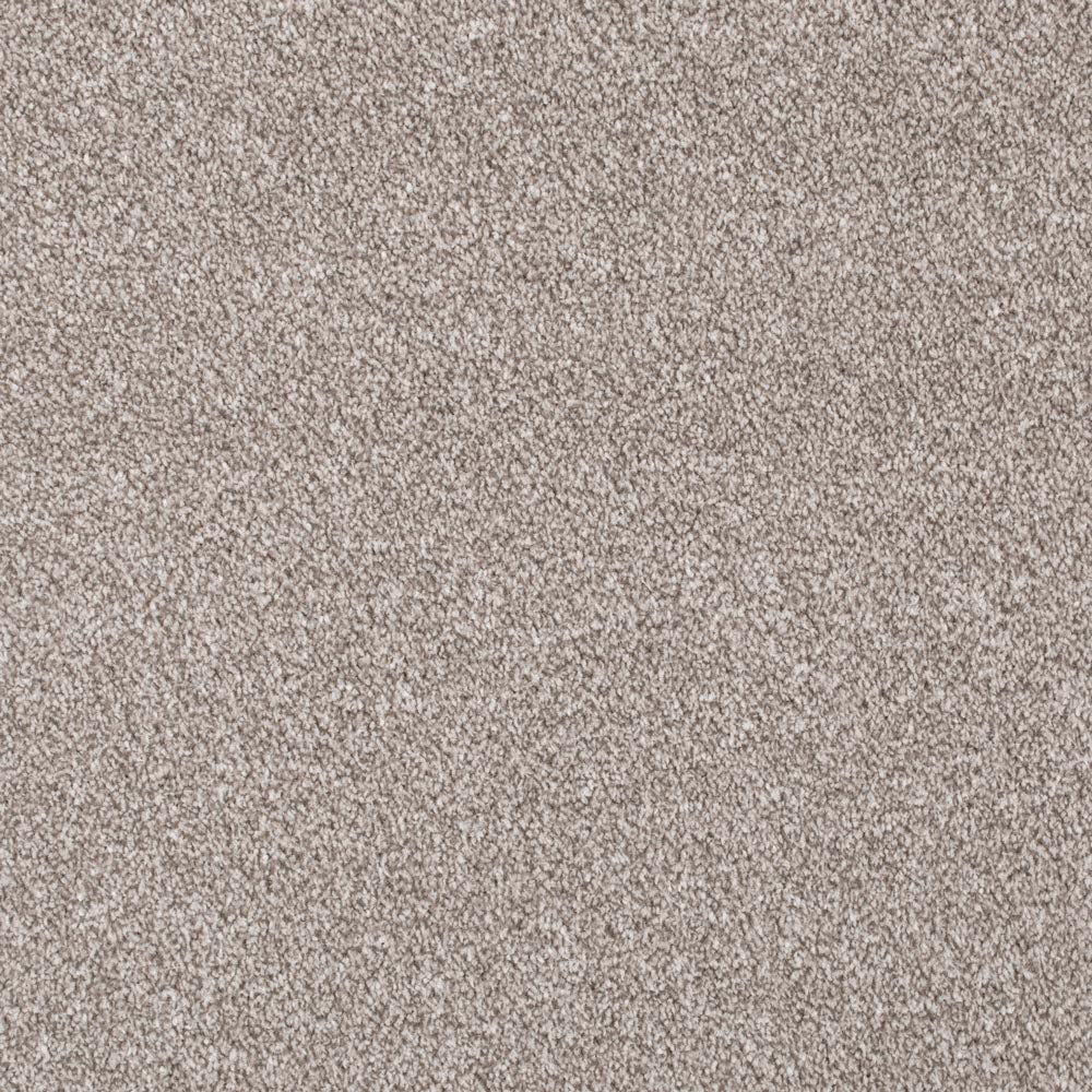 Forest Walk Apollo Plus Carpet by Cormar