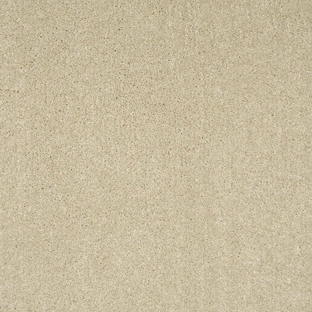 Frosted Dawn 05 Sophistication Supreme Carpet Clearance