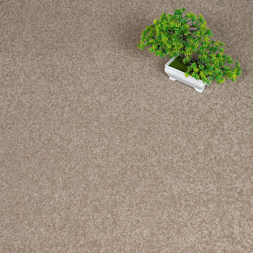 Fudge 39 Aries Invictus Carpet - Image 2