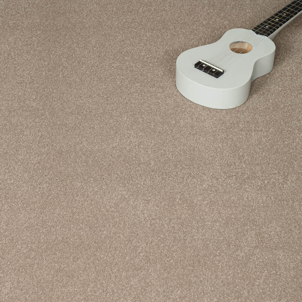 Fudge 39 Taurus Invictus Carpet - Image 2