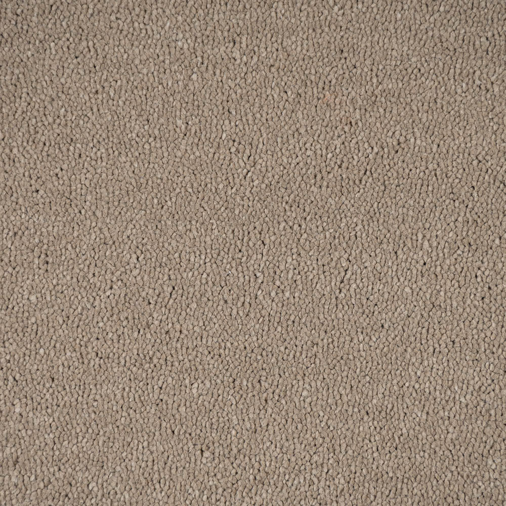 Fudge 39 Taurus Invictus Carpet - Image 4