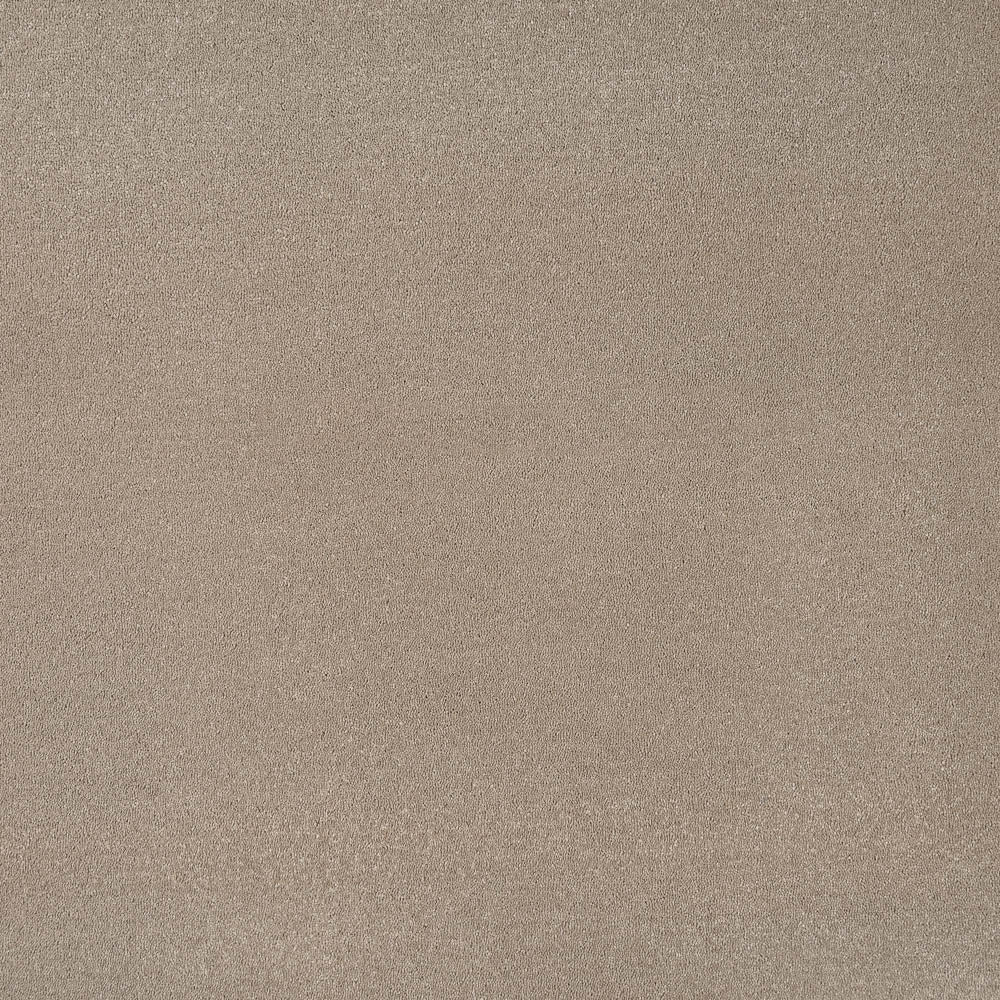 Fudge 39 Taurus Invictus Carpet - Image 6