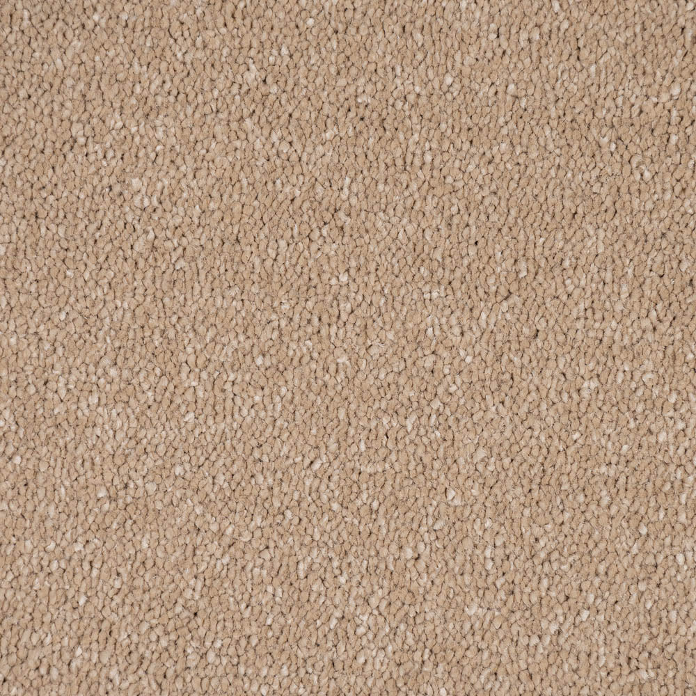 Gazelle Sensation Original 60oz Carpet by Cormar - Image 3