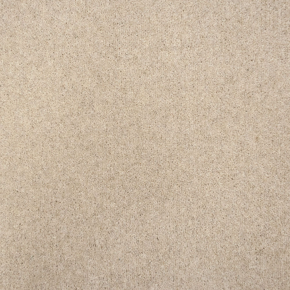 Glencoe Carpet - Image 5