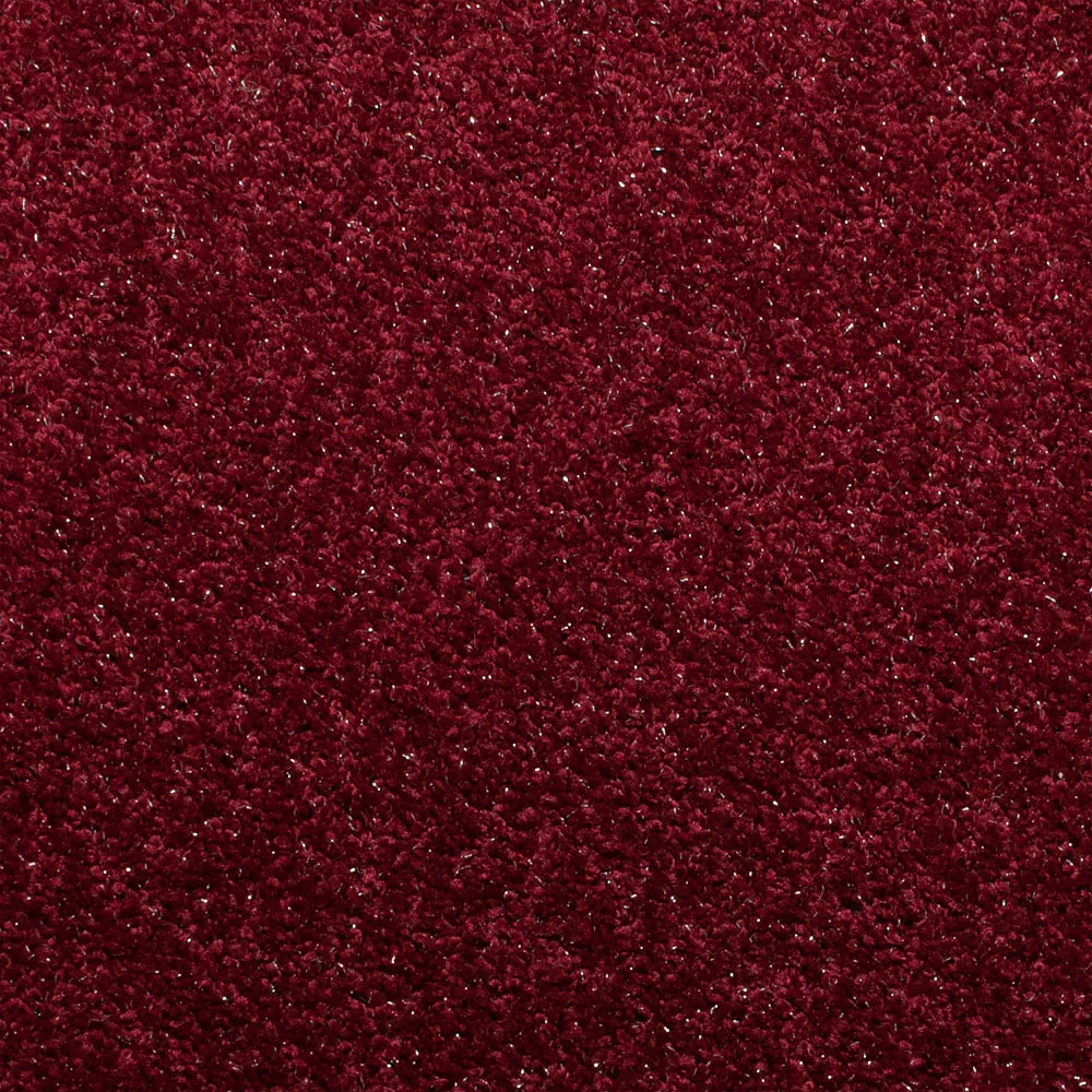 Glossy 'Sparkly' Carpet - Image 3
