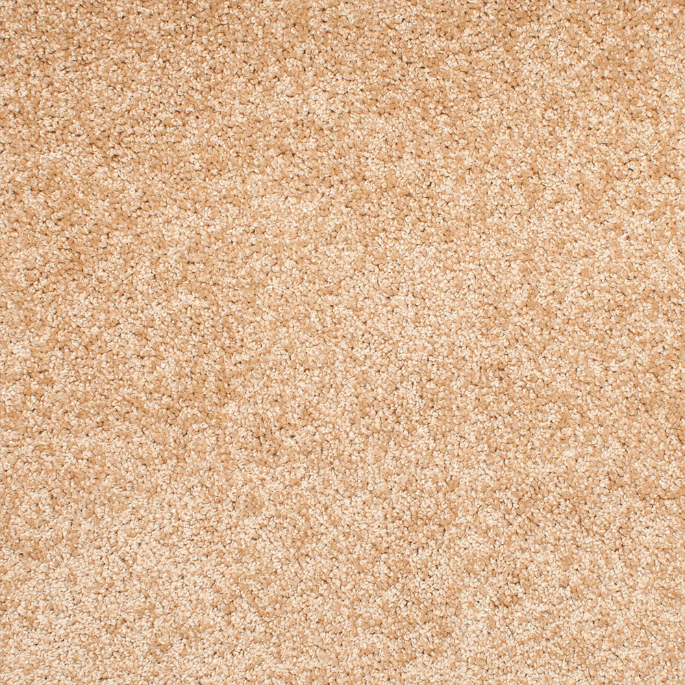 Glossy 'Sparkly' Carpet - Image 6