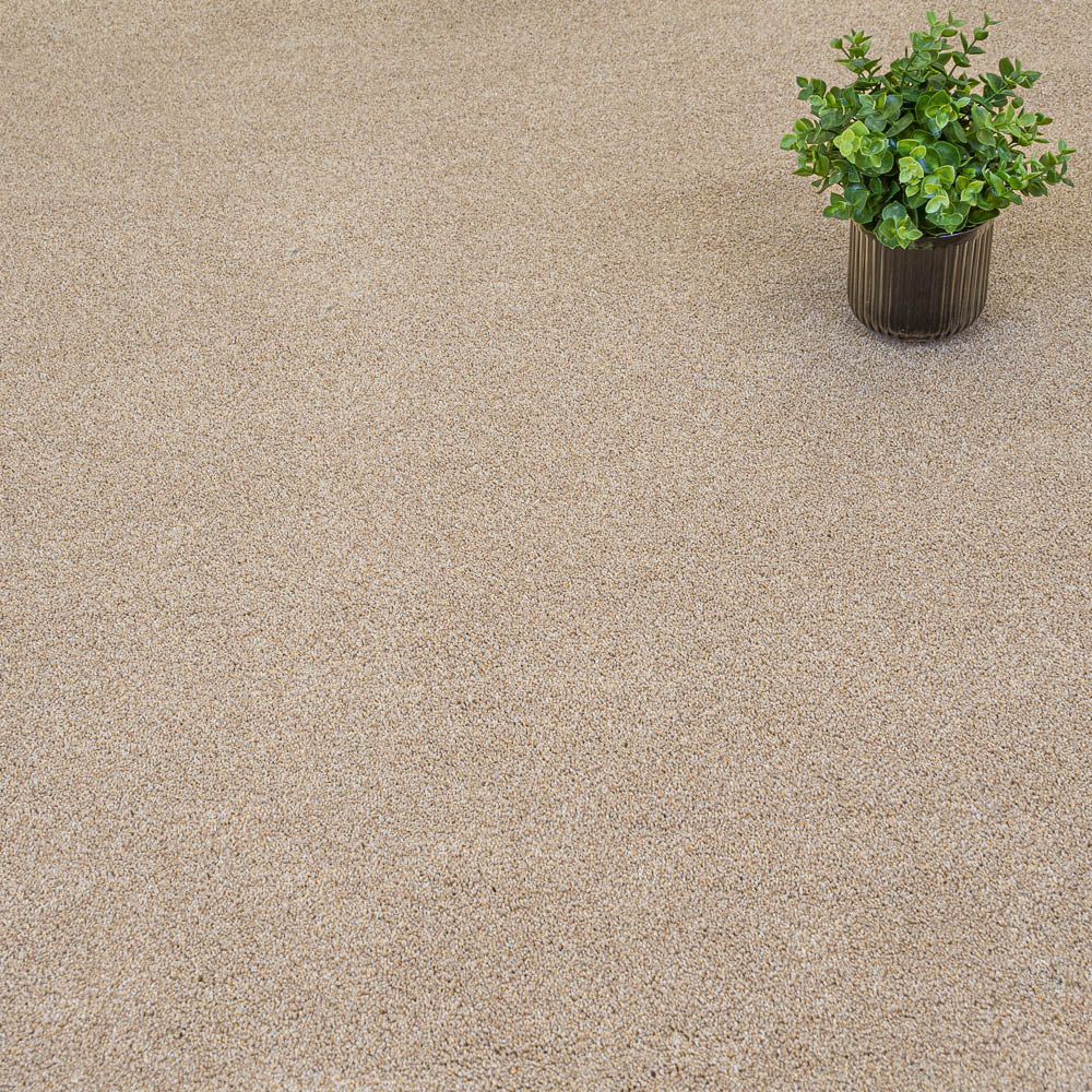 Golden Honey 35 Cassius 70oz Invictus Carpet
