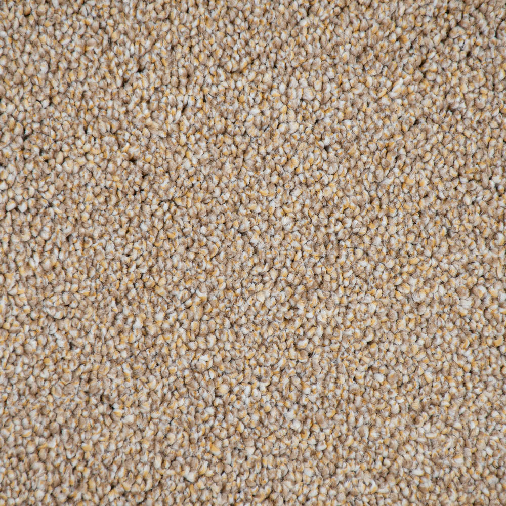Golden Honey 35 Cassius 70oz Invictus Carpet - Image 3