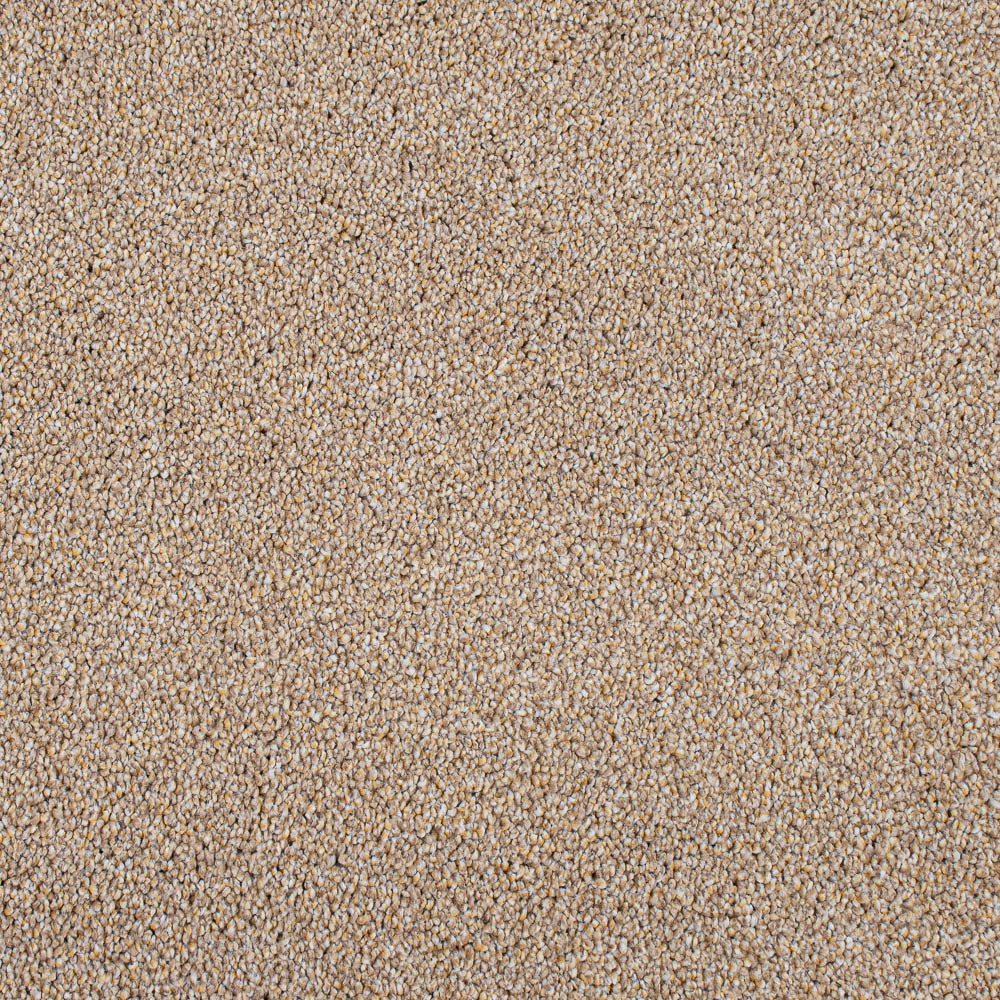 Golden Honey 35 Cassius 70oz Invictus Carpet - Image 5