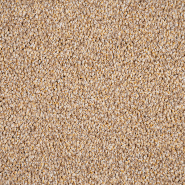 Golden Honey 35 Darius 50oz Invictus Carpet - Image 3