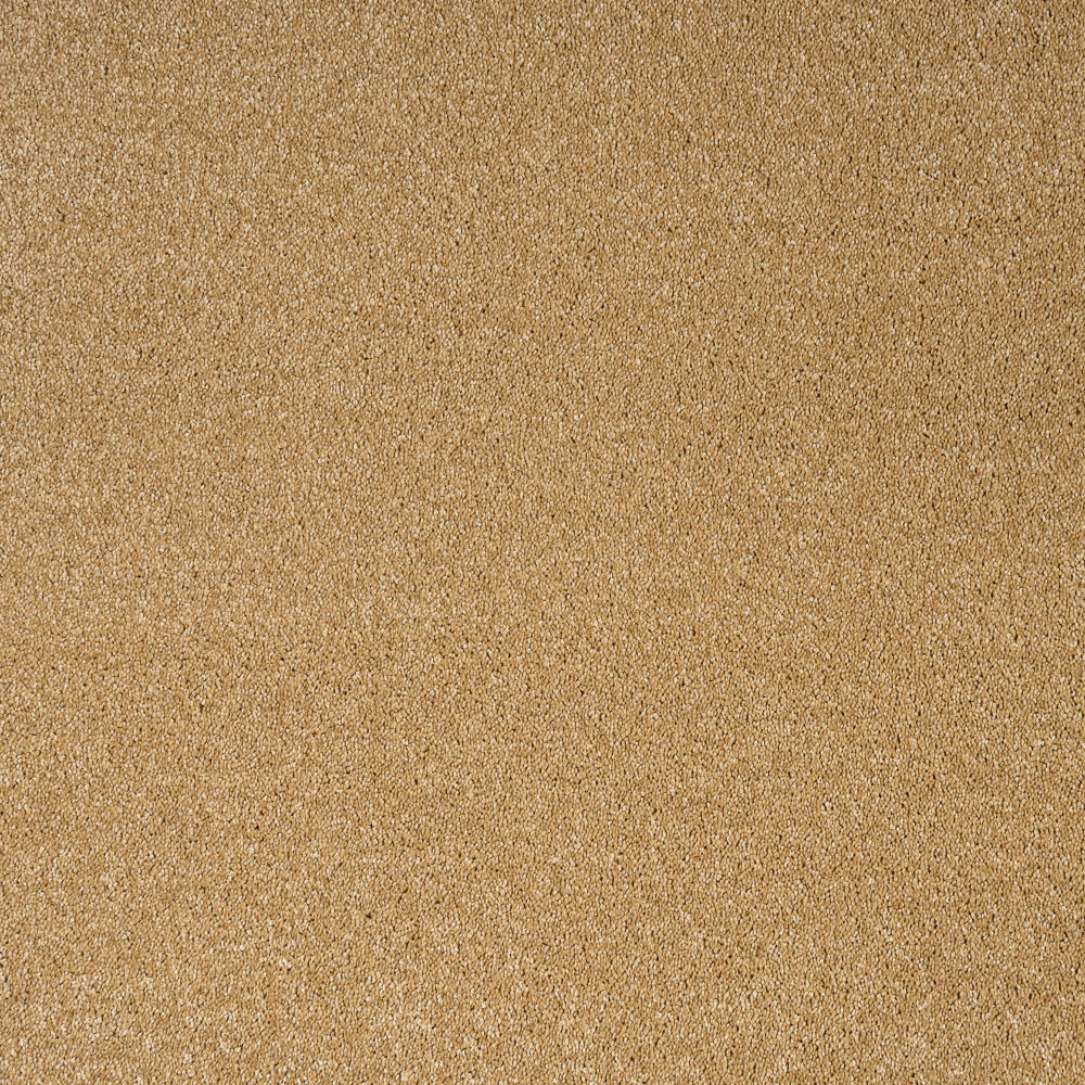 Golden Honey 54 Orion 50oz Invictus Carpet - Image 5
