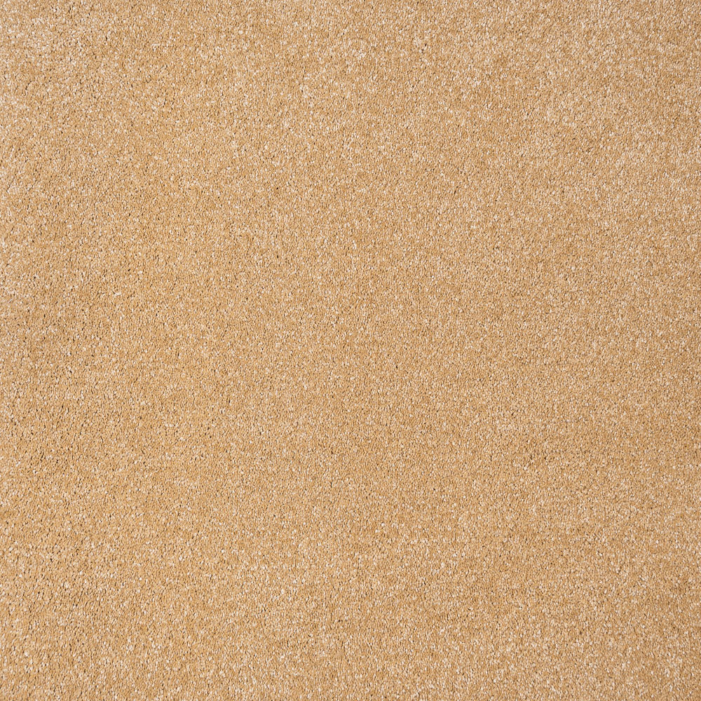 Golden Honey 54 Sirius 70oz Invictus Carpet - Image 2