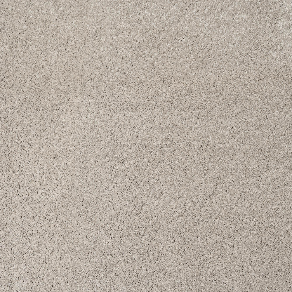 Granola 09 Magnificus Invictus Supreme Carpet - Image 2