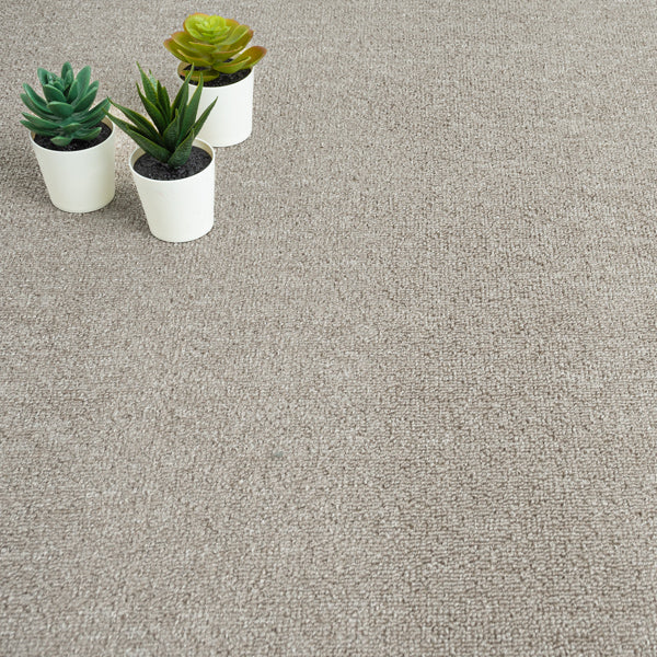 Grey Beige Farne Loop Carpet