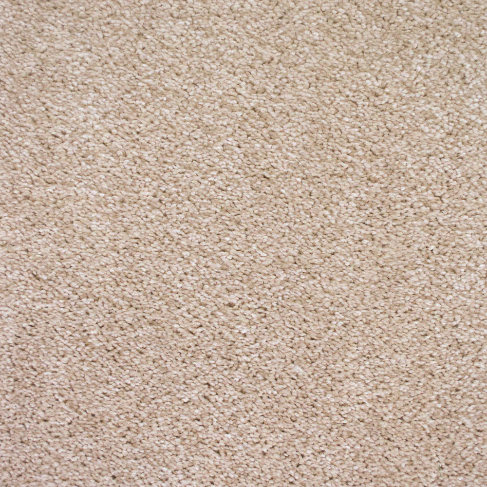 Gucci 30 Scorpius Invictus Carpet - Image 2