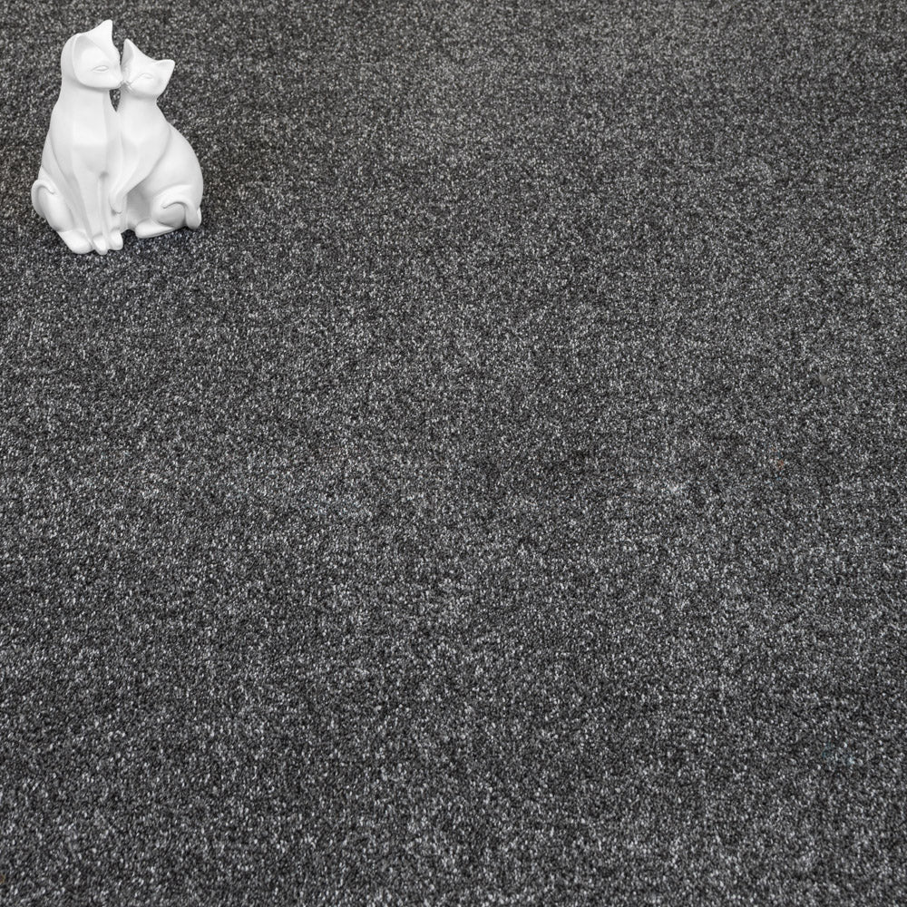Gunpowder Grey Marseilles Twist Carpet - Image 2