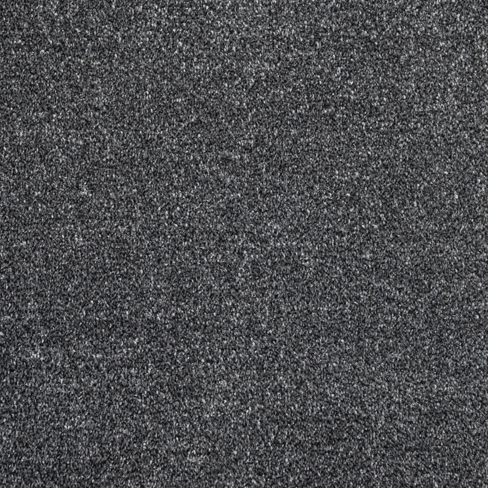 Gunpowder Grey Marseilles Twist Carpet - Image 3