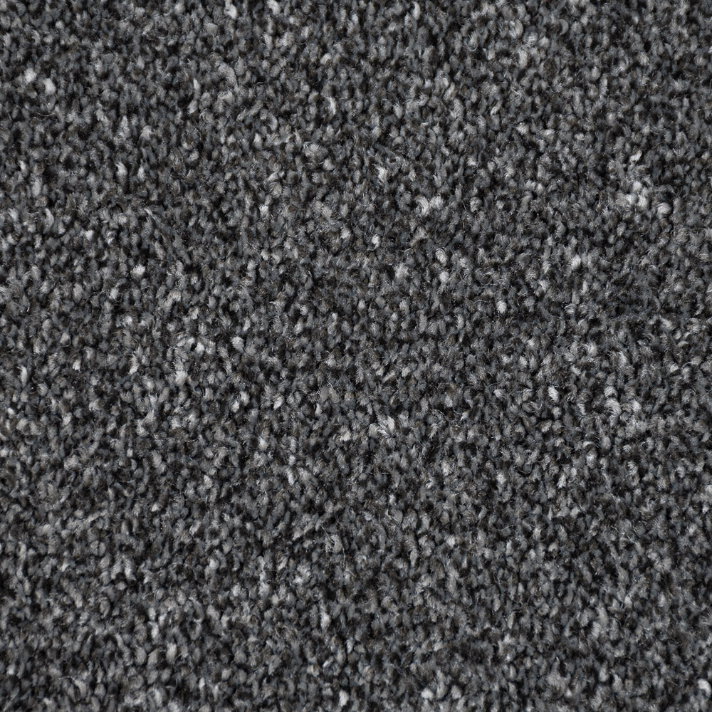 Gunpowder Grey Marseilles Twist Carpet - Image 4