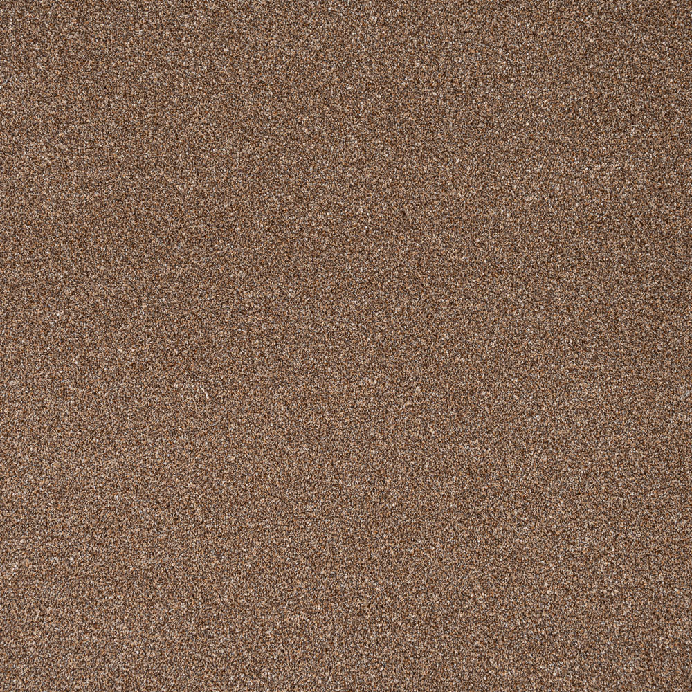 Harvest Festival Stainfree Rustique Ultra Carpet by Abingdon - Image 5