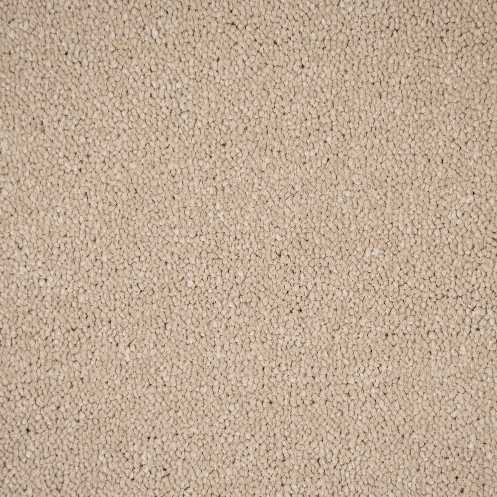 Honey Beige 90 Bellevue Saxony Carpet - Image 3